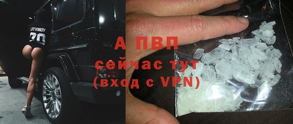 крисы Балахна