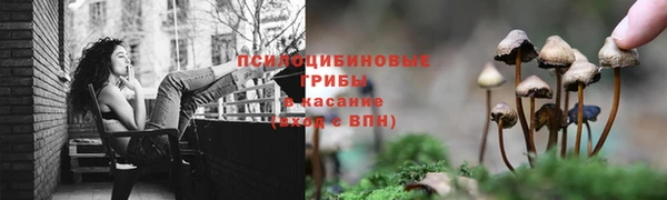 марки lsd Беломорск